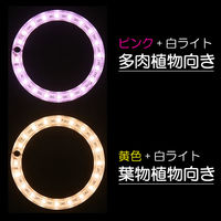 ベムパートナー ベム G2-OROHA-P 植物用オロハライト G2-OROHA-PURPLE 1台（直送品）