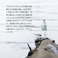 エー・ピー・オー Plusui（プラスイ）ミネラルウォーター 500ml PET1箱（24本入）