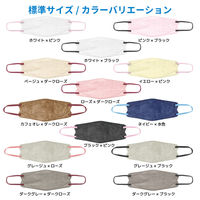 3D立体型マスク 5枚入 標準 グレージュ/黒 3袋セット カラフル JBD-AS 1セット（3袋） エスパック（直送品）