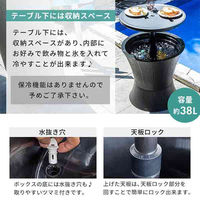 三栄コーポレーション 昇降可能・収納付きガーデンテーブル・肘無しチェア　3点セット A1_PYXSDTBL3SBK 1セット（直送品）