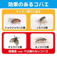 コバエがいなくなるスプレー 80回用 駆除 発生予防 無香料 20ml 1個 KINCHO キンチョー