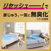 リセッシュ 除菌EX ワイドジェット 無香料 詰め替え 660mL 1セット（3個） 花王