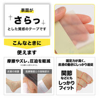 ニチバン ハイコロール HCR25 1箱(1巻入)