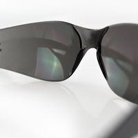 エスコ 保護めがね(スモーク) EA800AR-114 1セット(20個)（直送品）