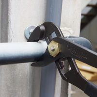 フジ矢 ウォーターポンププライヤー（黒金・バネ付・ドライバ） 110-250SD-BG 1個