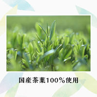 伊藤園 茶の間 500ml 1セット（48本） お茶 緑茶 ペットボトル 【接客】【来客】