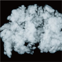 コーコス信岡 Vネックベスト G-399 1着