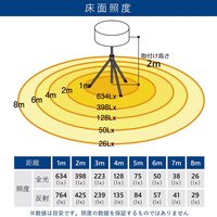 和コーポレーション 輝夜 500W LED反射バルーンライト 大型三脚仕様 BLー500ーBSS 1個（直送品）