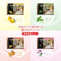 【大容量アソート】 いい湯旅立ち 贅沢露天 濃厚にごり 8種アソート 粉末タイプ 1セット（32包入×3箱）白元アース