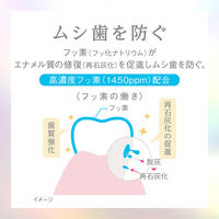 Lightee（ライティー） ハミガキPREMIUM シトラスティーミント 100g 1セット（2本） ライオン 歯磨き粉 美白