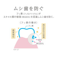 Lightee（ライティー） ハミガキPREMIUM シトラスティーミント 53g 1セット（2本） ライオン 歯磨き粉 美白