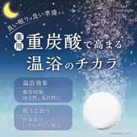 ビューウェル アンドグッドナイト 薬用入浴剤（重炭酸）無香料 15g×9錠 グローバルプロダクトプランニング 安眠 タブレット