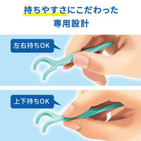 デンタルフロス Y字型 小林製薬の糸ようじ スルッと入るタイプ 1セット（18本入×3個）