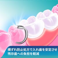 入れ歯安定剤 部分用 総入れ歯用 新ポリグリップ プレミアム トータルプロテクションEX 70g 1セット（2本） Haleonジャパン