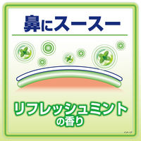熱さまシート 大人用 リフレッシュミントの香り 1セット（12枚入×3箱）冷却用品 冷却シート 冷感 小林製薬