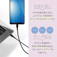 オウルテック 断線に強い USB Type-A to Type-Cケーブル 1m ブラック OWL-CBACA10-BK 1個