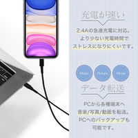 オウルテック 断線に強いUSB Type-A to Lightningケーブル 1m ブラック OWL-CBALA10-BK 1個