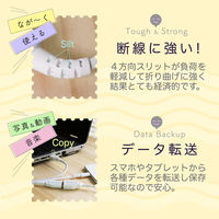 オウルテック 手持ちのUSBケーブルを手軽に延長 断線に強いUSB延長ケーブル 2m ホワイト OWL-CBKE20-WH 1個