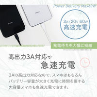 オウルテック PD60W柔らかいType-CtoLightningケーブルホワイト1.2m OWL-CBKLTCSR12-WH 1個