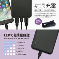 オウルテック かしこく充電対応 大容量モバイルバッテリー20000mAh ホワイト OWL-LPB20001-WH 1個