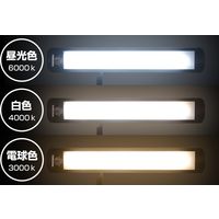 ジェントス 眼の事を考えたクランプ式デスクライト ブラック DK-R190BK 1個