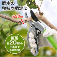 コモライフ ラチェット式のガーデン剪定ばさみ 390682 1個入（直送品）