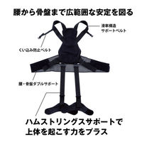 モリトジャパン 全身アシストパワースーツM 腰周り70~85cm/身長160~175cm程度 4902993111427 1セット(1台×5)