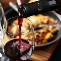 イタリア　ノッテロッサ　プリミティーヴォ 赤ワイン　フルボディ　750ml 1本　日本酒類販売