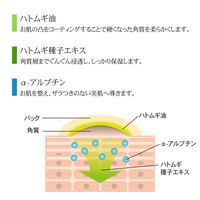 コモライフ ビューナ ポツトロWパック 391205 1個（直送品）