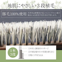 コモライフ 3段豚毛の少髪用ブラシII 391562 1個（直送品）