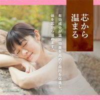 入浴剤 詰め合わせ 温泉の素 露天湯めぐり 4種 （30g×15包）×4箱 （にごりタイプ） 粉末 アース製薬