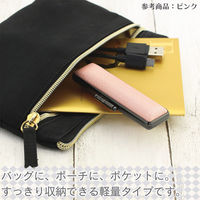 サンビー 印鑑ケース ライトカーボン ブルー CA-LC03 1個