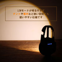 ビックマン LEDミニミニポケットライト 充電式 縦丸 BPLM-05 1個（直送品）