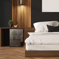 A-Stage 1ドア冷蔵庫 40L ミラーガラス (ペルチェ式：ブラック) PR03A-40MG 1台（直送品）