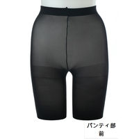 アツギ アツギタイツ2足組 80DブラックLLL FP10182P 1セット(３個)（直送品）