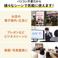 サンワサプライ メディアプレーヤー MED-PL2 1台（直送品）