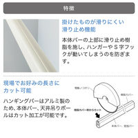 TOSO お洒落なランドリーバー〈ハングングバー・ホワイト〉W2780×H270 4975559921907 1セット（直送品）