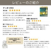 【アスクル・ロハコ限定】白ワイン　チリ　サンタ・レジーナ BIB シャルドネ 3L 1個 辛口 オリジナル