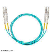 サンワサプライ メガネ型光ファイバケーブル（マルチ50μmOM4、LC×2-LC×2、10m） HKB-OM4LCLC-10 1個（直送品）