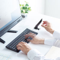 サンワサプライ Bluetoothペン型マウス(充電式) MA-PBB317DS 1個