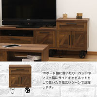 エイ・アイ・エス ロバスト キャビネット 幅600×奥行450×高さ753mm ブラウン ROB-7560CB BR 1台（直送品）