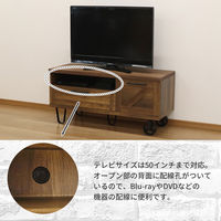 エイ・アイ・エス ロバスト TVボード 幅1200×奥行450×高さ573mm ブラウン ROB-5712TV BR 1台（直送品）