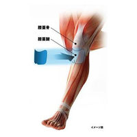 NEW-HARE（ニューハレ） テーピング テープ すぐ貼れるシリーズ ニーダッシュ オレンジ 010501011 1セット(6枚入×3)（直送品）