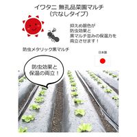 岩谷マテリアル 岩谷 菜園メタリック黒マルチ 0.02mm×950mm×50m 2100732 1巻（直送品）