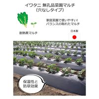 岩谷マテリアル 岩谷 菜園用黒マルチ 0.02mm×1350mm×50m 2100735 1巻（直送品）