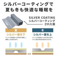 ラプラス MM-003-RYフォールディングマット RY　1枚（直送品）