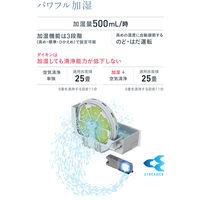 【アウトレット】ダイキン 加湿ストリーマ空清 ACK55Z-W 1台