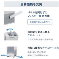 ダイキン UVストリーマ空清（7.0m2/分） ACKB70Z-S 1台