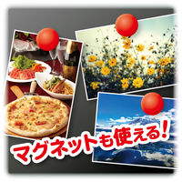 アスカ 枠無ブラックボード長L BB022BK 1枚