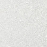 アコ・ブランズ・ジャパン ライツレバーアーチファイル55mm 1015-50-01 1冊